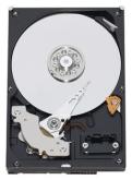WD10EZEX.jpg